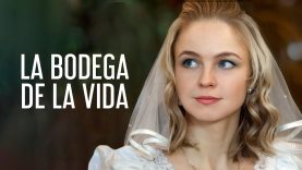 La Bodega de la Vida | Película Completa en Español Latino